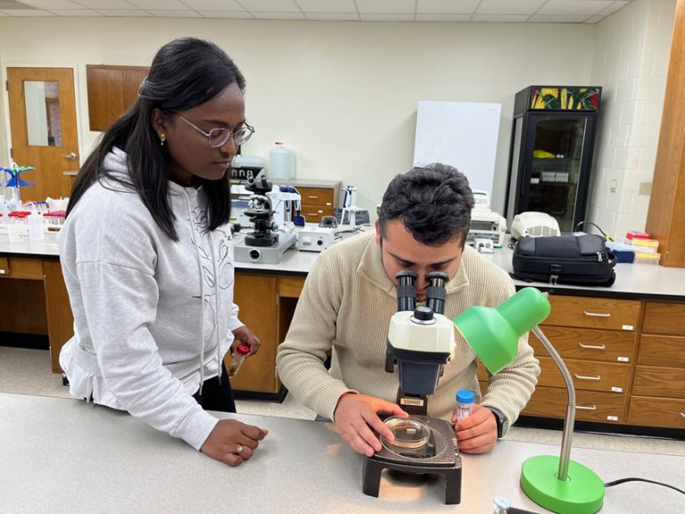 Lab Activities Blueberry Breeding