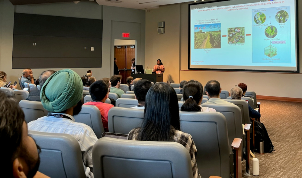 Sindoora Nalajala  giving a lightening talk on her research titled “Unlocking the power of interspecific hybridization to enhance fruit quality & flavor of rabbiteye blueberries” at the Synthetic Biology Meeting held at UGA Athens, Georgia on Aug. 27, 2025.