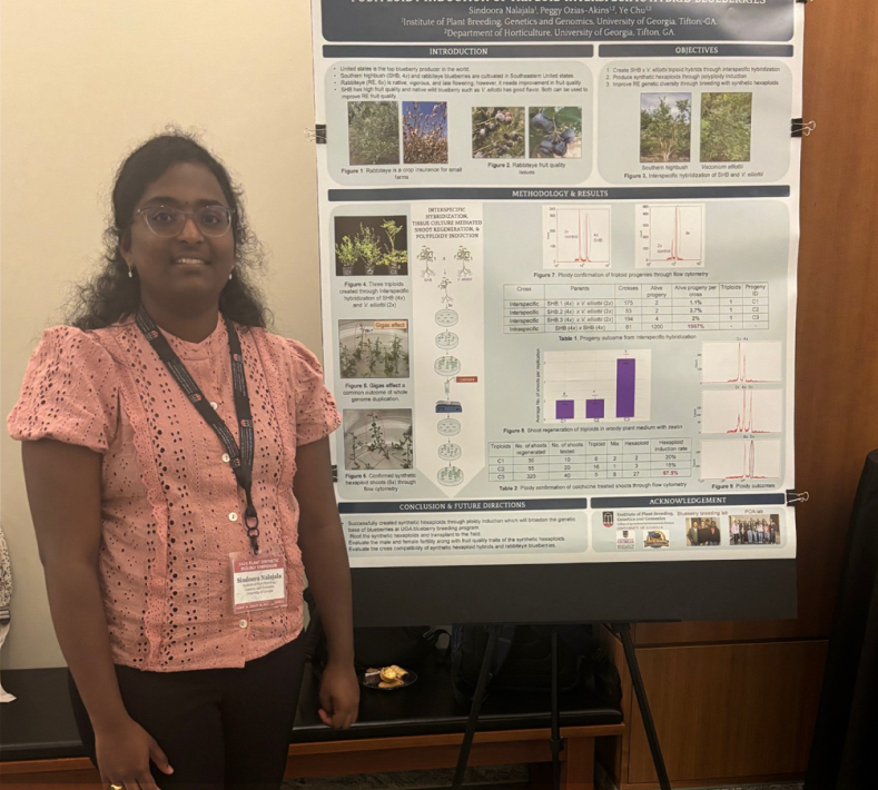 Sindoora Nalajala standing by her poster titled “Polyploidy Induction of Triploid Interspecific Hybrids in Blueberries” at the Synthetic Biology Meeting held at UGA Athens, Georgia on Aug. 27, 2025.