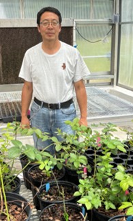 Dongliang Wu stands in a greenhouse.